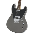 Load image into Gallery viewer, (Metallic Gray)
