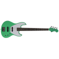 Load image into Gallery viewer, (Light Green)
