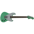 Load image into Gallery viewer, (Light Green)
